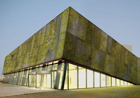 Vườn "đứng" trên tường nhờ bê tông sinh học